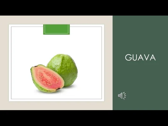 GUAVA