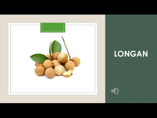 LONGAN