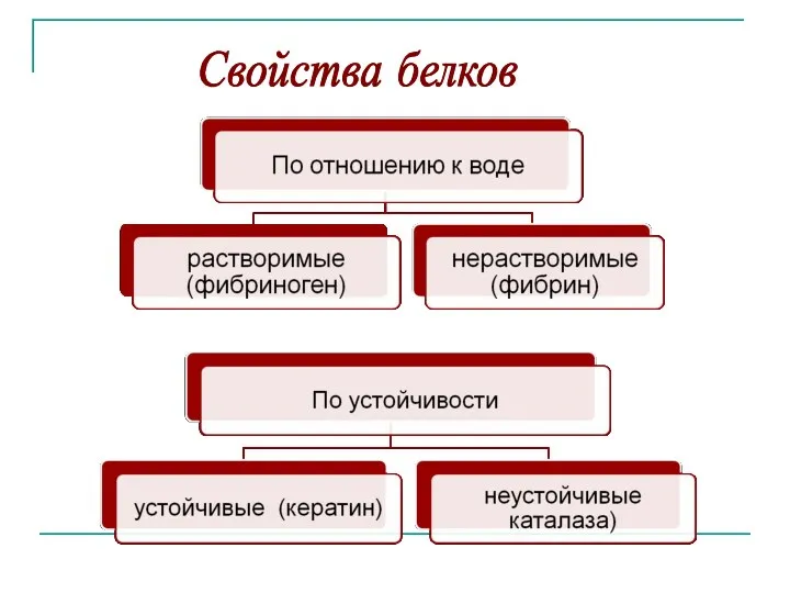 Свойства белков