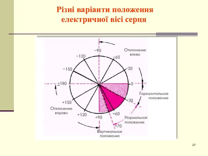 Різні варіанти положення електричної вісі серця