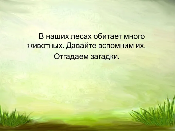 В наших лесах обитает много животных. Давайте вспомним их. Отгадаем загадки.