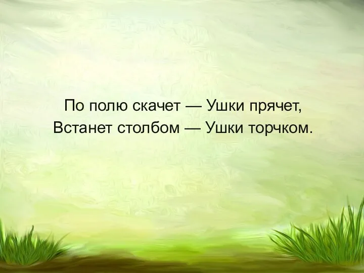 По полю скачет — Ушки прячет, Встанет столбом — Ушки торчком.