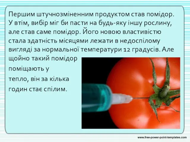 Першим штучнозміненним продуктом став помідор. У втім, вибір міг би