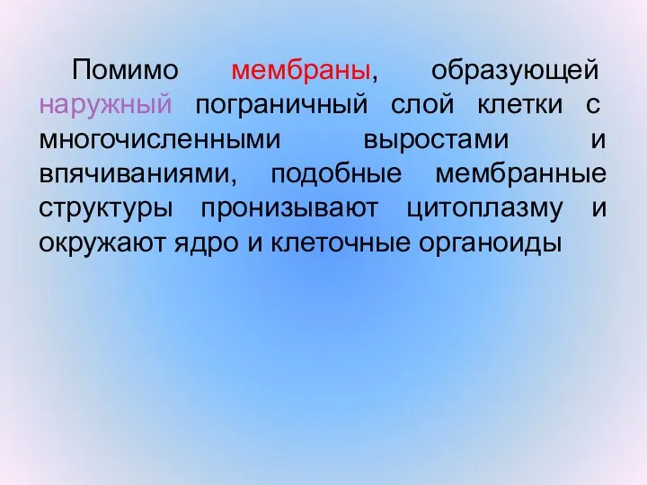 Помимо мембраны, образующей наружный пограничный слой клетки с многочисленными выростами