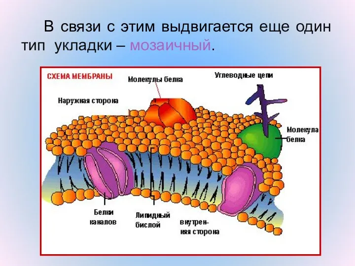 В связи с этим выдвигается еще один тип укладки – мозаичный.