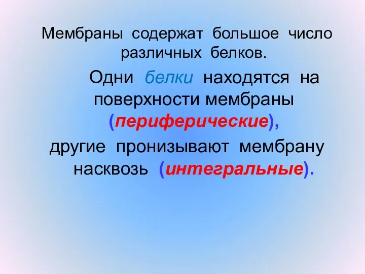 Мембраны содержат большое число различных белков. Одни белки находятся на