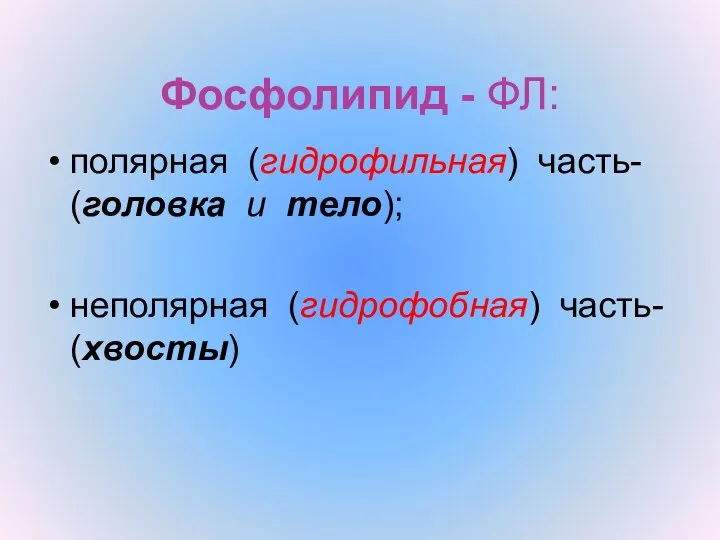 Фосфолипид - ФЛ: полярная (гидрофильная) часть- (головка и тело); неполярная (гидрофобная) часть- (хвосты)