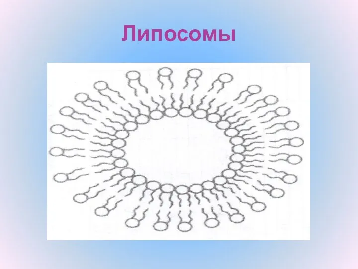 Липосомы