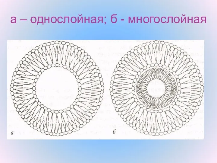 а – однослойная; б - многослойная