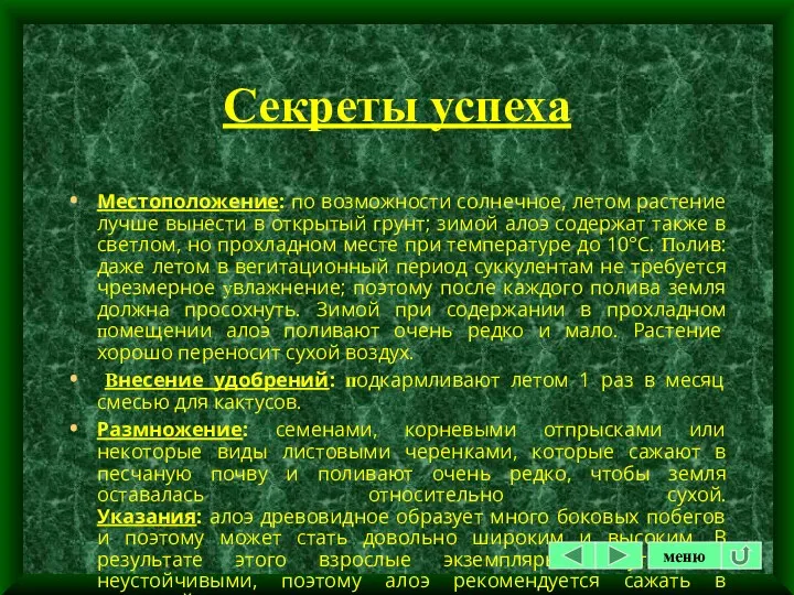 Секреты успеха Местоположение: по возможности солнечное, летом растение лучше вынести