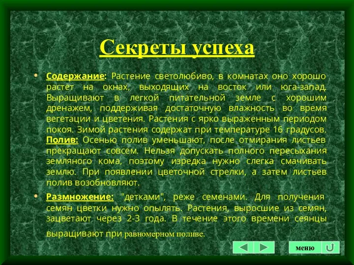 Секреты успеха Содержание: Растение светолюбиво, в комнатах оно хорошо растет