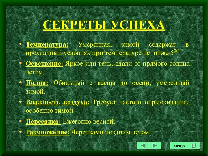 СЕКРЕТЫ УСПЕХА Температура: Умеренная, зимой содержат в прохладный условиях при