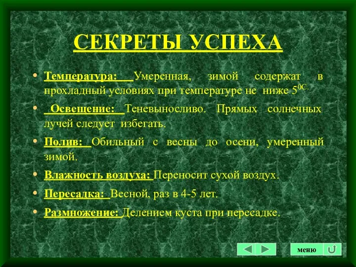 СЕКРЕТЫ УСПЕХА Температура: Умеренная, зимой содержат в прохладный условиях при