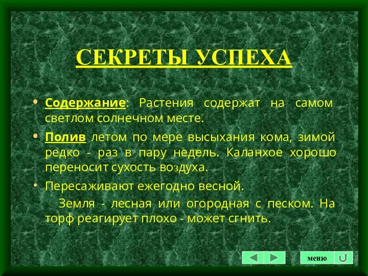 СЕКРЕТЫ УСПЕХА Содержание: Растения содержат на самом светлом солнечном месте.