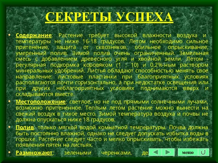 СЕКРЕТЫ УСПЕХА Содержание: Растение требует высокой влажности воздуха и температуры