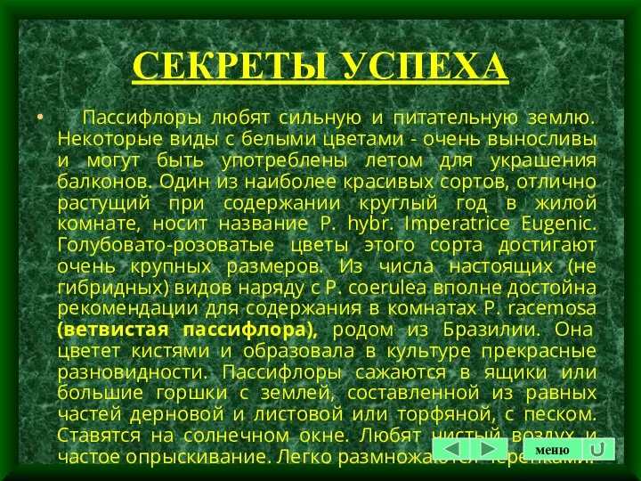 СЕКРЕТЫ УСПЕХА Пассифлоры любят сильную и питательную землю. Некоторые виды