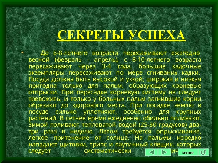 СЕКРЕТЫ УСПЕХА До 6-8-летнего возраста пересаживают ежегодно весной (февраль -