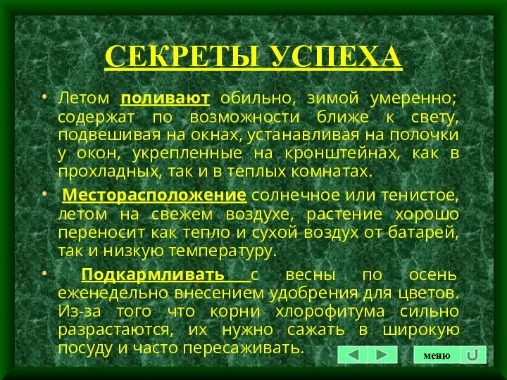 СЕКРЕТЫ УСПЕХА Летом поливают обильно, зимой умеренно; содержат по возможности