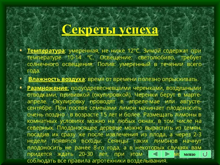 Секреты успеха Температура: умеренная, не ниже 12°С. Зимой содержат при