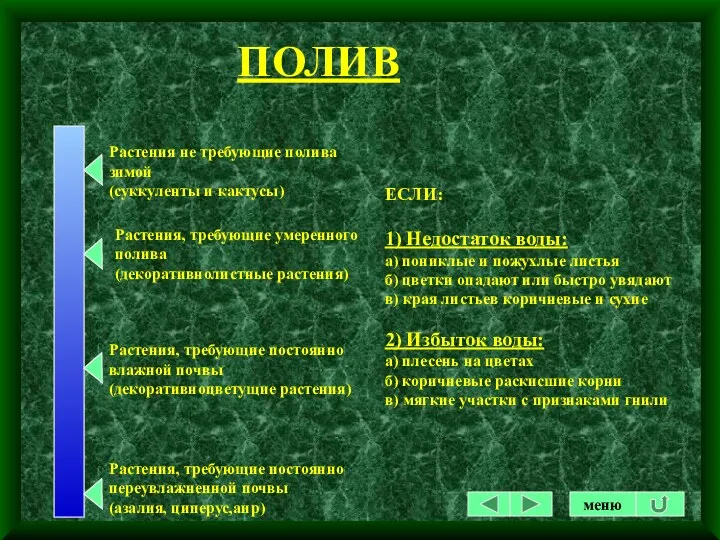 ПОЛИВ ЕСЛИ: 1) Недостаток воды: а) пониклые и пожухлые листья