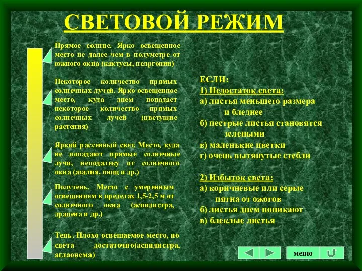 СВЕТОВОЙ РЕЖИМ ЕСЛИ: 1) Недостаток света: а) листья меньшего размера