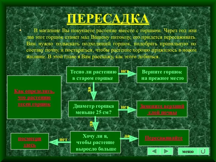 ПЕРЕСАДКА В магазине Вы покупаете растение вместе с горшком. Через