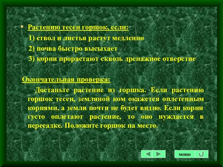 Растению тесен горшок, если: 1) ствол и листья растут медленно