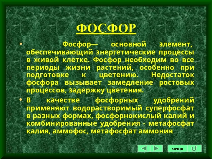 ФОСФОР Фосфор— основной элемент, обеспечивающий энергетические процессы в живой клетке.