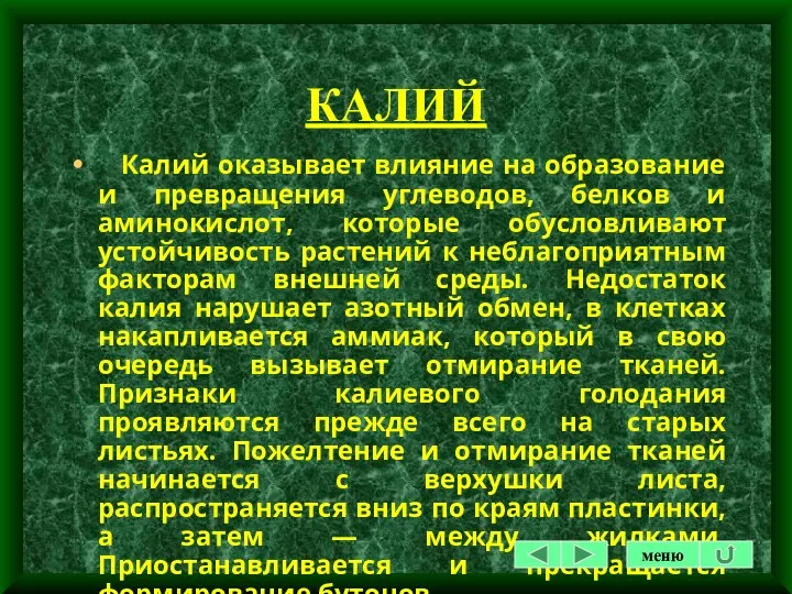 КАЛИЙ Калий оказывает влияние на образование и превращения углеводов, белков