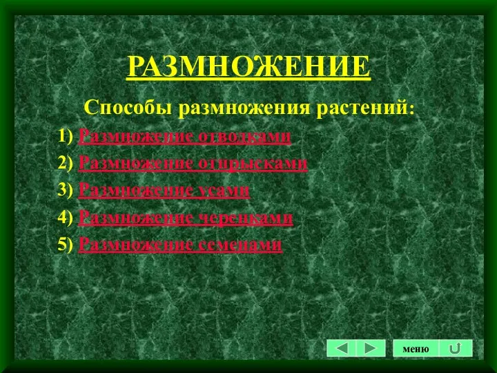 РАЗМНОЖЕНИЕ Способы размножения растений: 1) Размножение отводками 2) Размножение отпрысками