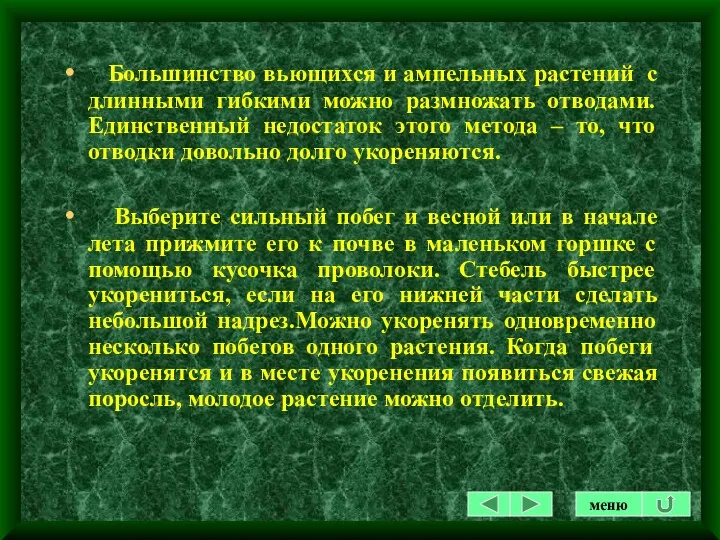 Большинство вьющихся и ампельных растений с длинными гибкими можно размножать