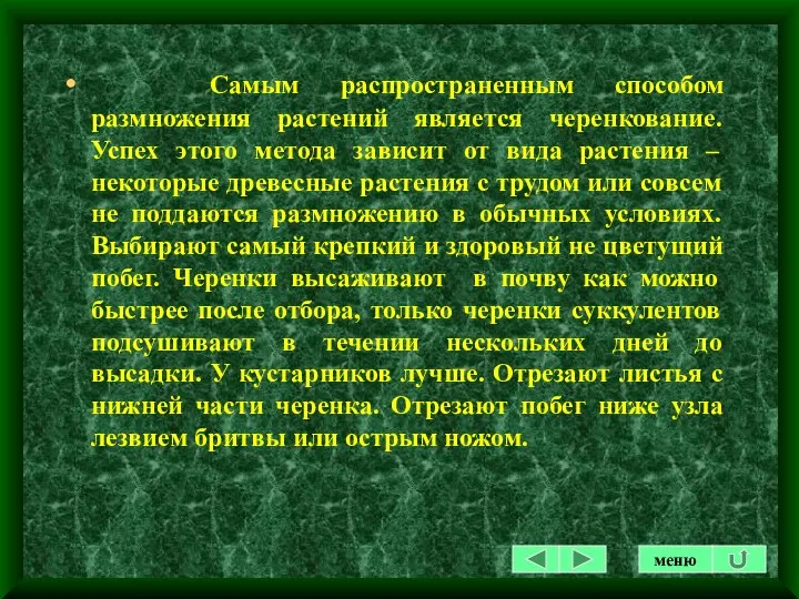 Самым распространенным способом размножения растений является черенкование.Успех этого метода зависит