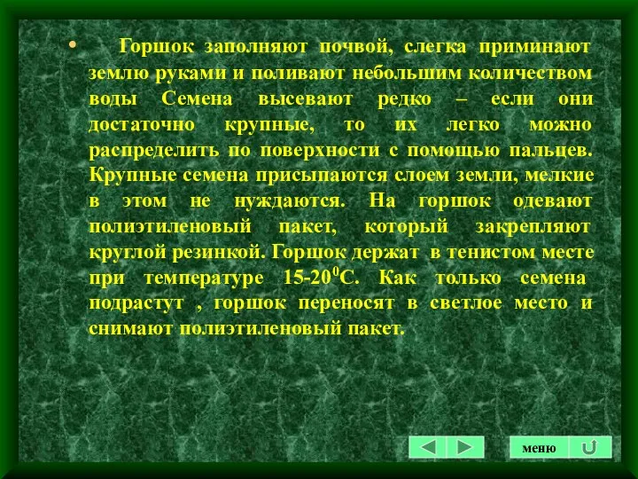 Горшок заполняют почвой, слегка приминают землю руками и поливают небольшим