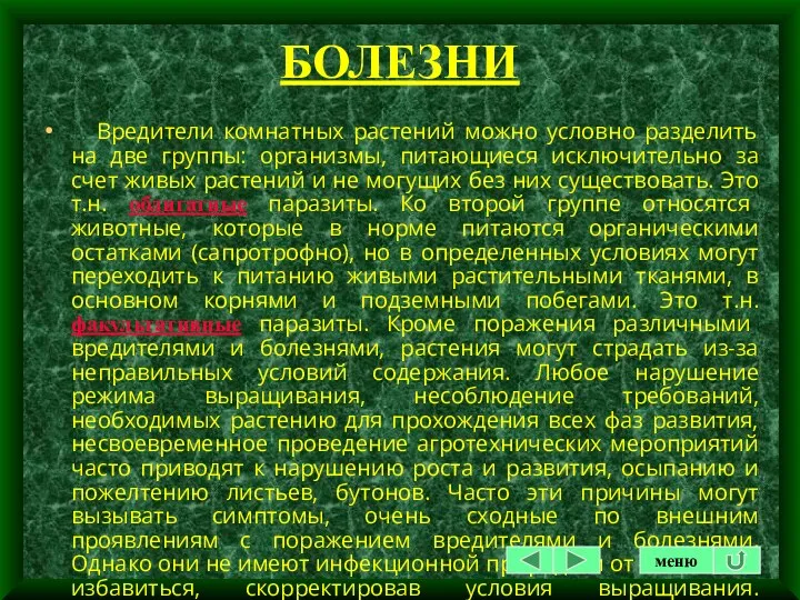 БОЛЕЗНИ Вредители комнатных растений можно условно разделить на две группы: