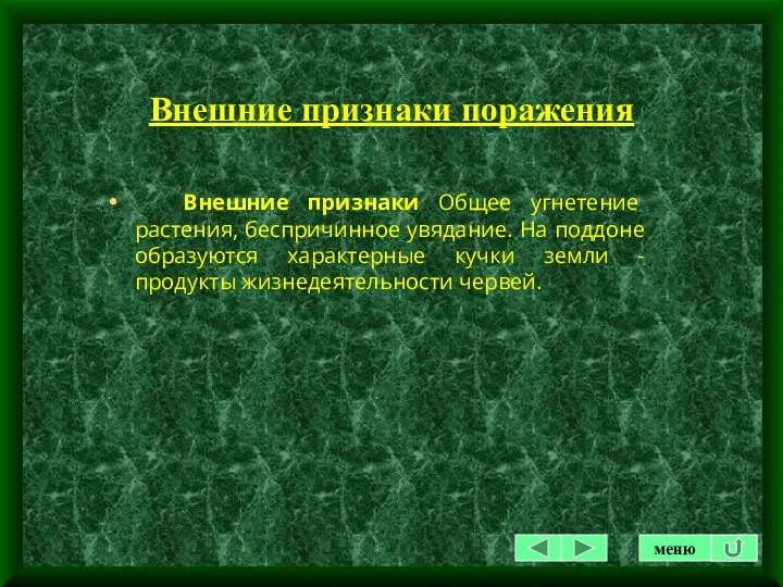 Внешние признаки поражения Внешние признаки Общее угнетение растения, беспричинное увядание.