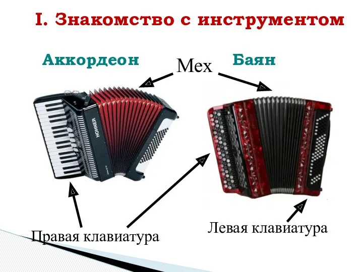 I. Знакомство с инструментом Аккордеон Баян Правая клавиатура Левая клавиатура Мех