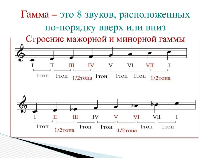 Гамма – это 8 звуков, расположенных по-порядку вверх или вниз Строение мажорной и минорной гаммы