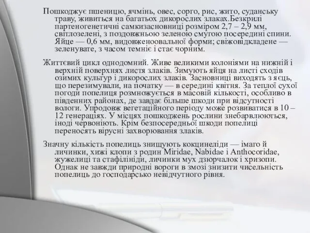 Пошкоджує пшеницю, ячмінь, овес, сорго, рис, жито, суданську траву, живиться