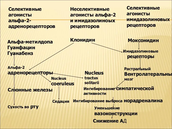 Селективные агонисты альфа-2- адренорецепторов Неселективные агонисты альфа-2 и имидазолиноых рецепторов