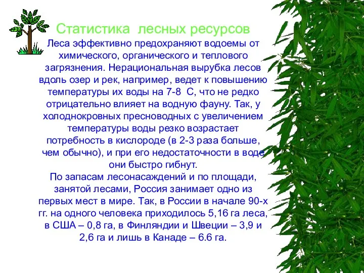 Статистика лесных ресурсов Леса эффективно предохраняют водоемы от химического, органического