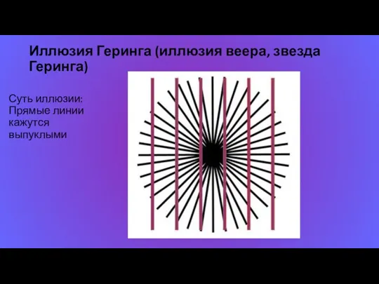 Иллюзия Геринга (иллюзия веера, звезда Геринга) Суть иллюзии: Прямые линии кажутся выпуклыми