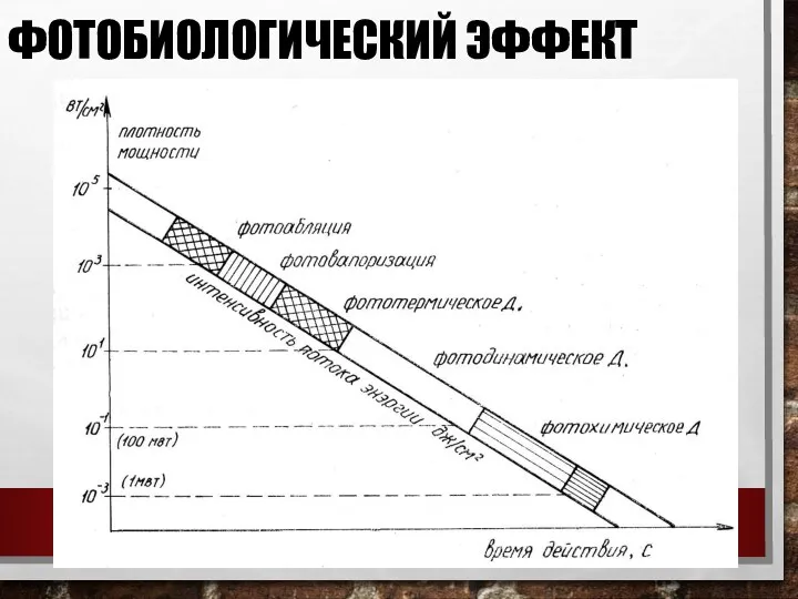 ФОТОБИОЛОГИЧЕСКИЙ ЭФФЕКТ