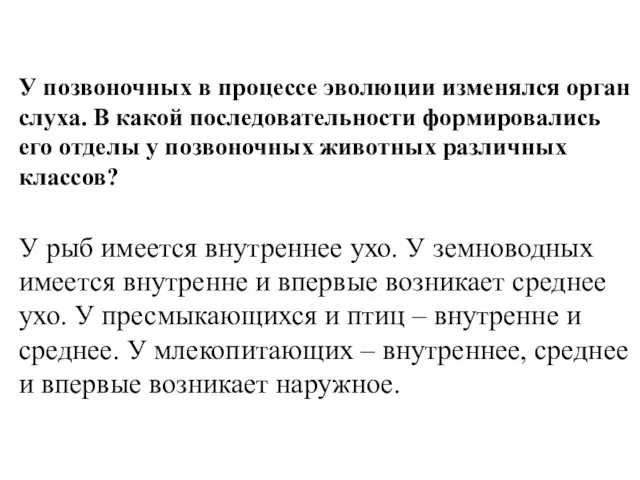 У позвоночных в процессе эволюции изменялся орган слуха. В какой