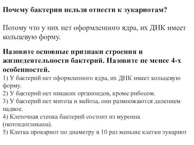 Почему бактерии нельзя отнести к эукариотам? Потому что у них