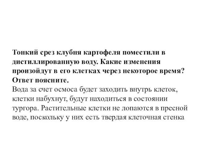 Тонкий срез клубня картофеля поместили в дистиллированную воду. Какие изменения