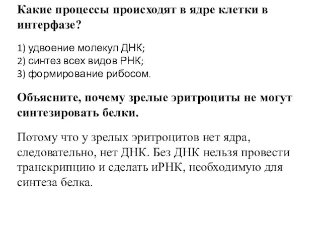 Какие процессы происходят в ядре клетки в интерфазе? 1) удвоение