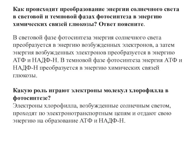 Как происходит преобразование энергии солнечного света в световой и темновой