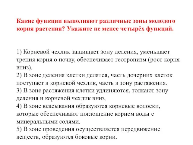 Какие функции выполняют различные зоны молодого корня растения? Укажите не