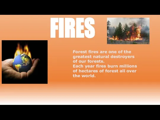 FIRES Forest fires are one of the greatest natural destroyers