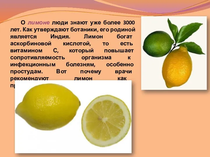 О лимоне люди знают уже более 3000 лет. Как утверждают